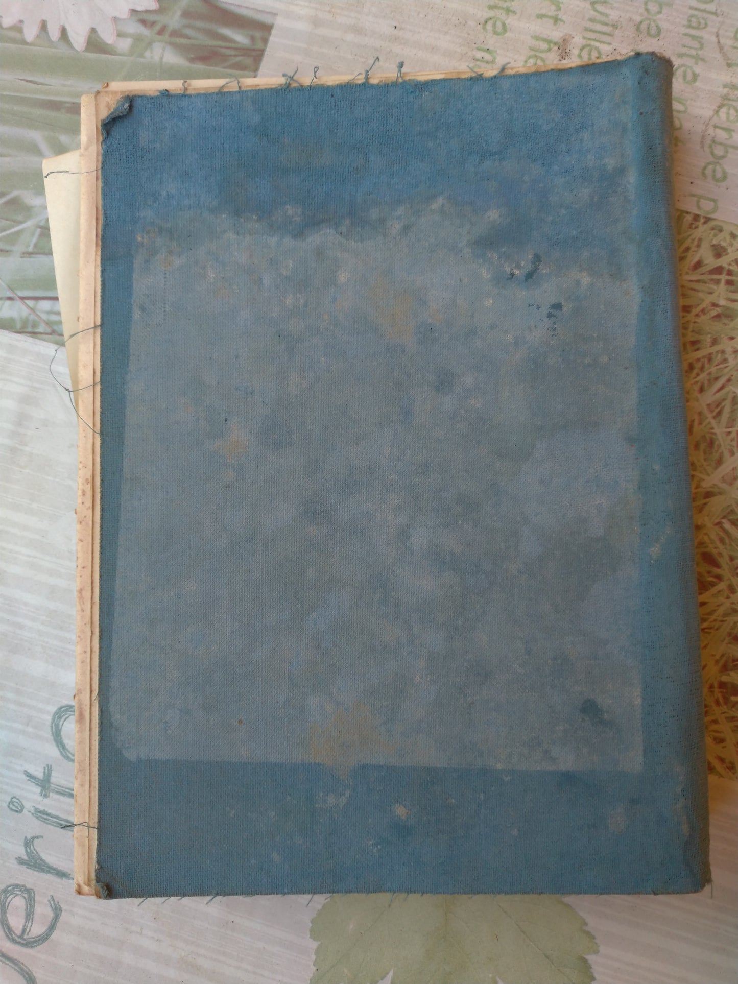 MANUALE per L'ISTRUZIONE del CARABINIERE