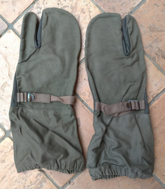 Guanti Militari Esercito Tedesco Motociclisti