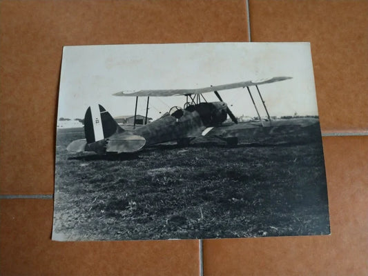 Caproni Ca 100 Caproncino Capretta Regia Aeronautica Italia WW2