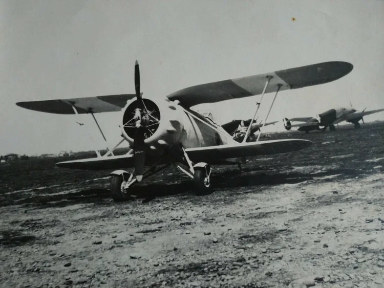 IMAM Ro. 41 Caccia Regia Aeronautica Italiana