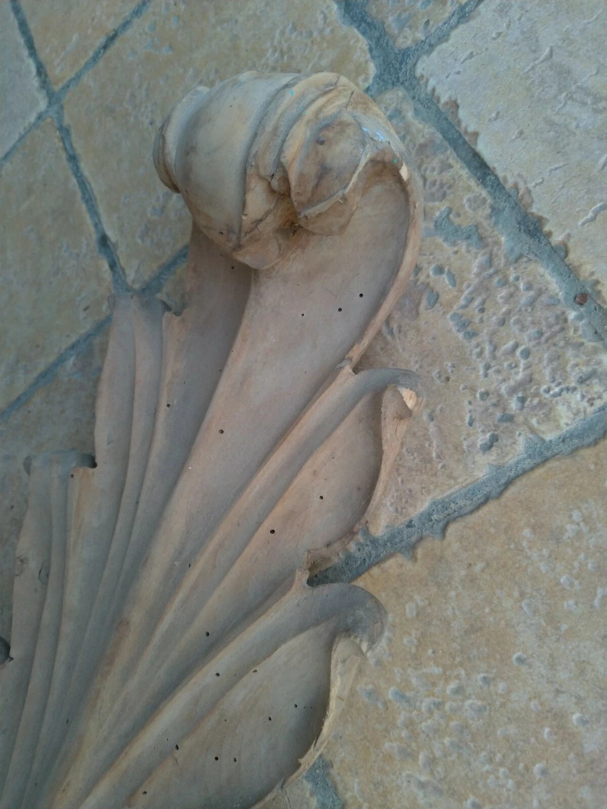 Antica Decorazione Piemontese in Legno