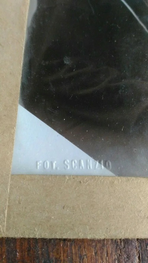 Sailor of the Royal Italian Navy