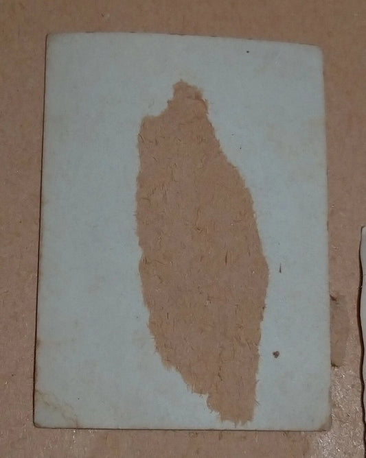 Wehrmacht Esercito Tedesco Foto WWII