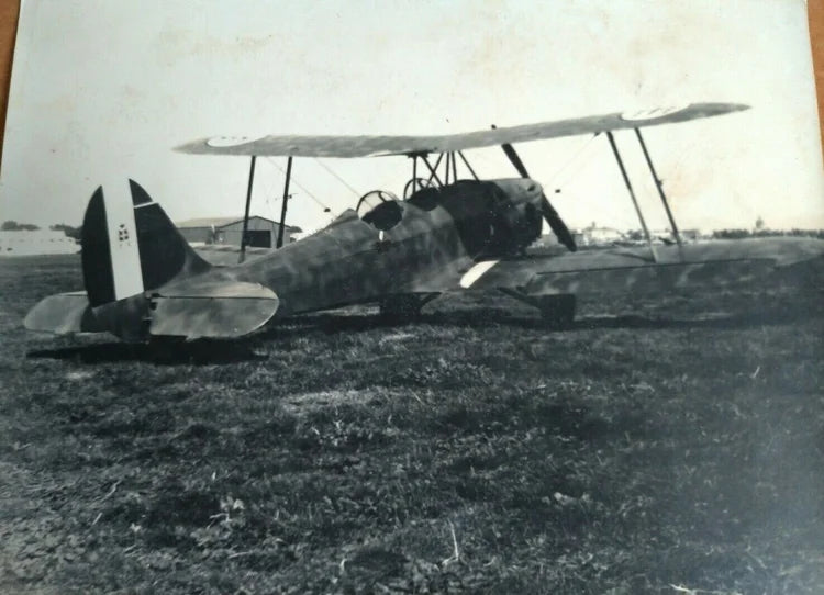 Caproni Ca 100 Caproncino Capretta Regia Aeronautica Italia WW2