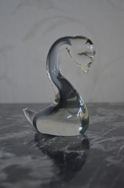 Cigno in Vetro