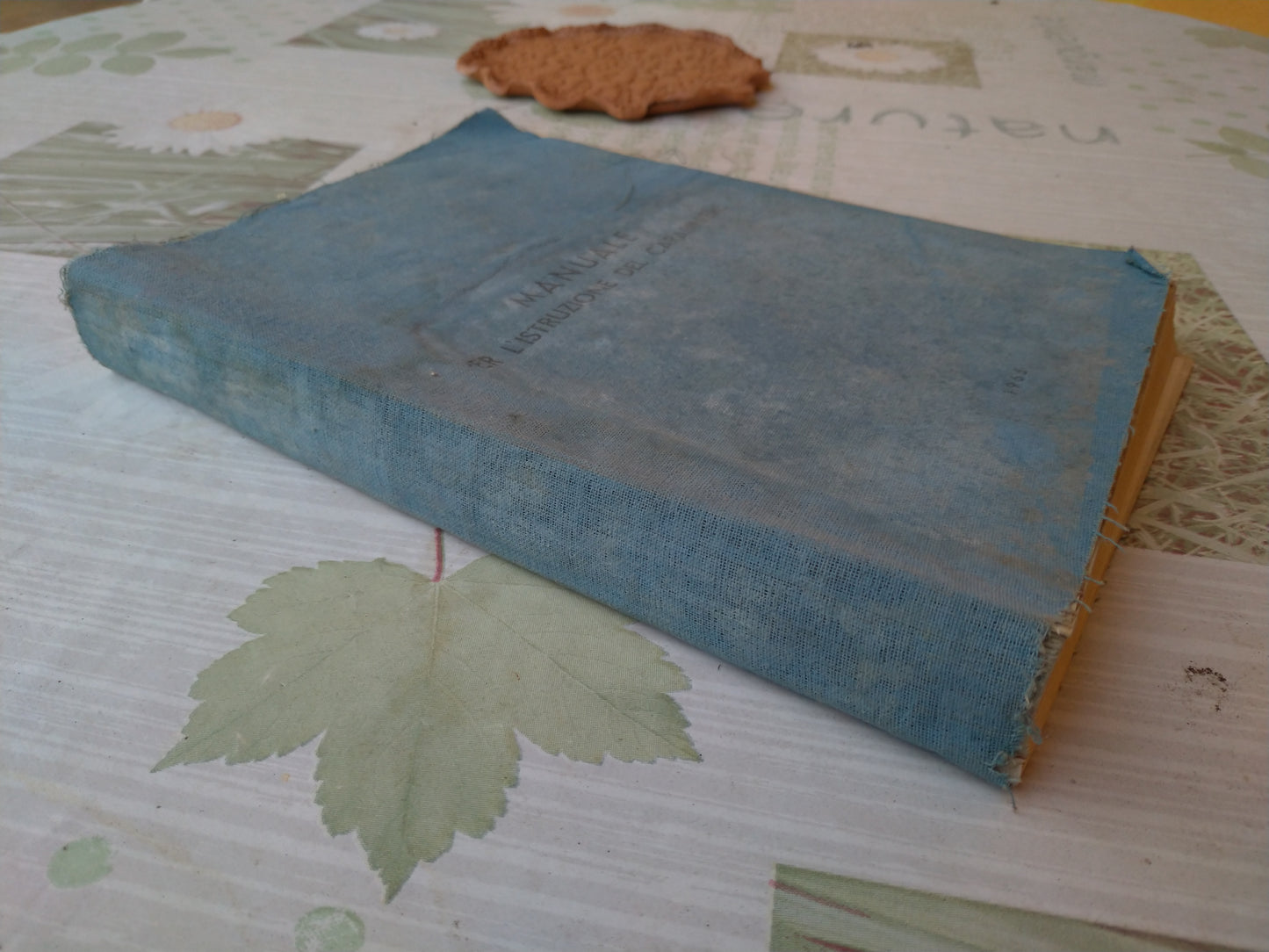 MANUALE per L'ISTRUZIONE del CARABINIERE