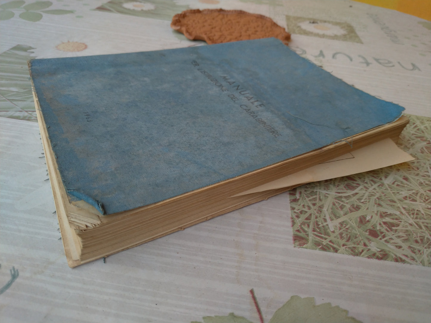 MANUALE per L'ISTRUZIONE del CARABINIERE