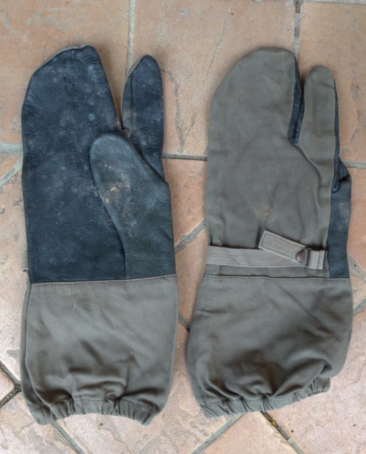 Guanti Surplus Militari Esercito Tedesco Motociclisti
