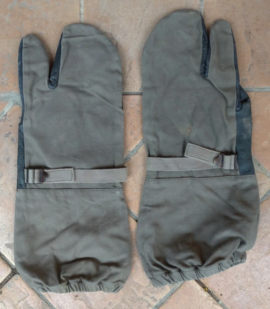 Guanti Surplus Militari Esercito Tedesco Motociclisti
