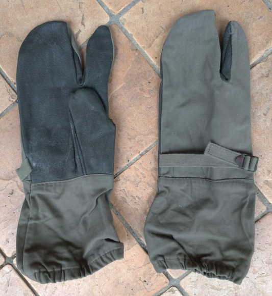 Guanti Militari Esercito Tedesco Motociclisti Surplus