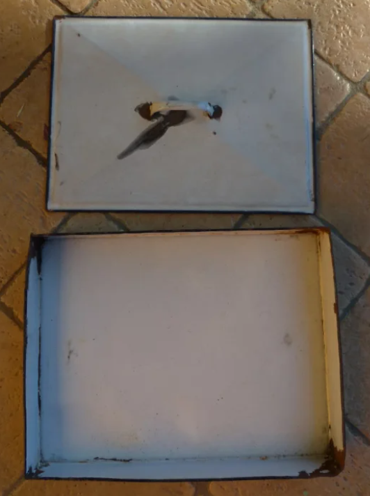 Contenitore Medico Metallo Smaltato Bianco Vintage