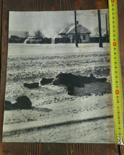 Grande Foto Ritirata di Russia