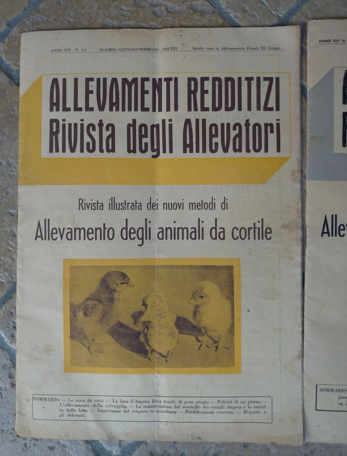 Catalogo 1941 1943 RIVISTE ALLEVAMENTI REDDITIZI ALLEVAMENTO ANIMALI DA CORTILE