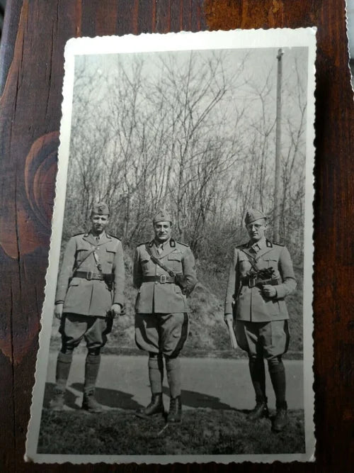 Lotto Ufficiali REGIO ESERCITO ITALIA Divisa 34 Fregi Genio RE Truppa WW2