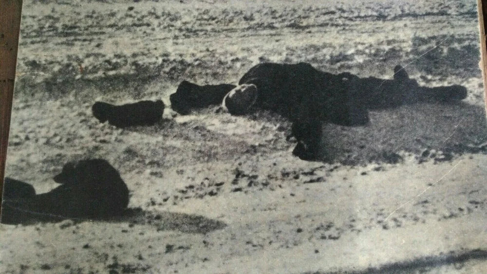 Grande Foto Ritirata di Russia