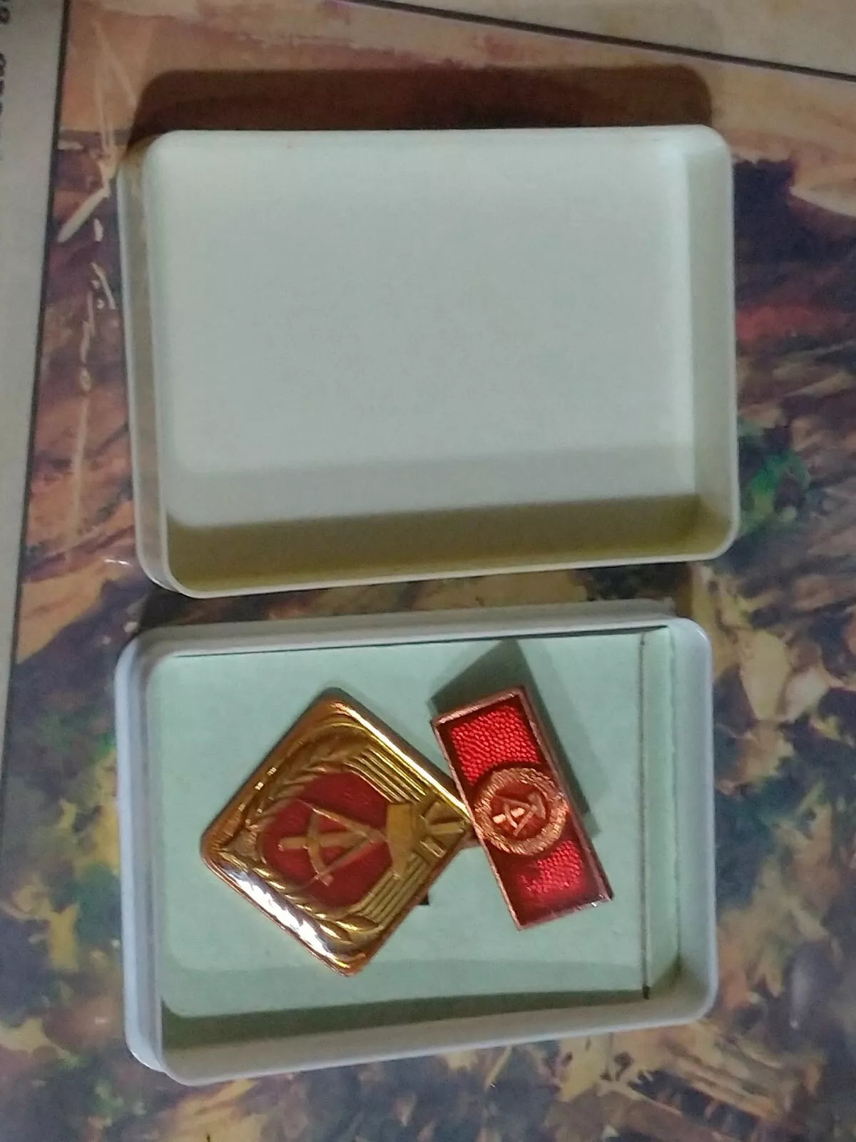 Medaglia Spilla DDR NVA Germania Est
