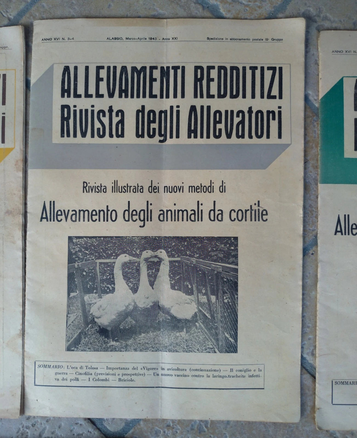 Catalogo 1941 1943 RIVISTE ALLEVAMENTI REDDITIZI ALLEVAMENTO ANIMALI DA CORTILE