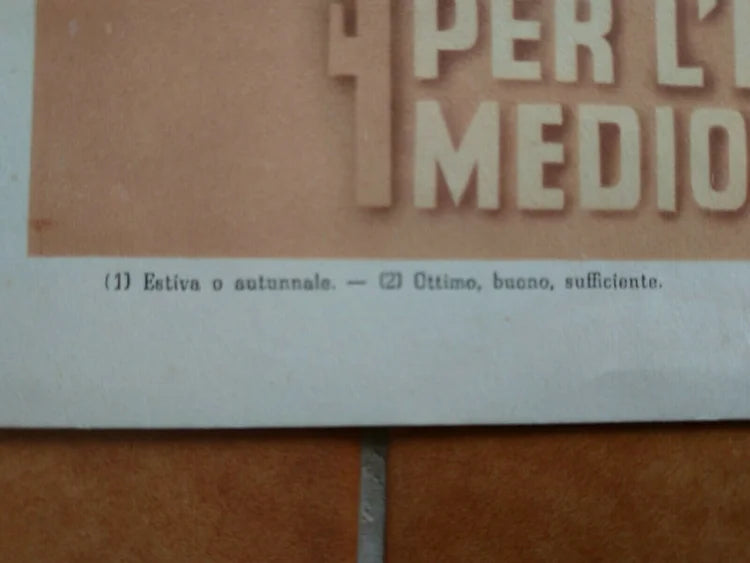 Biella 2 Giugno 1943 Diploma RSI