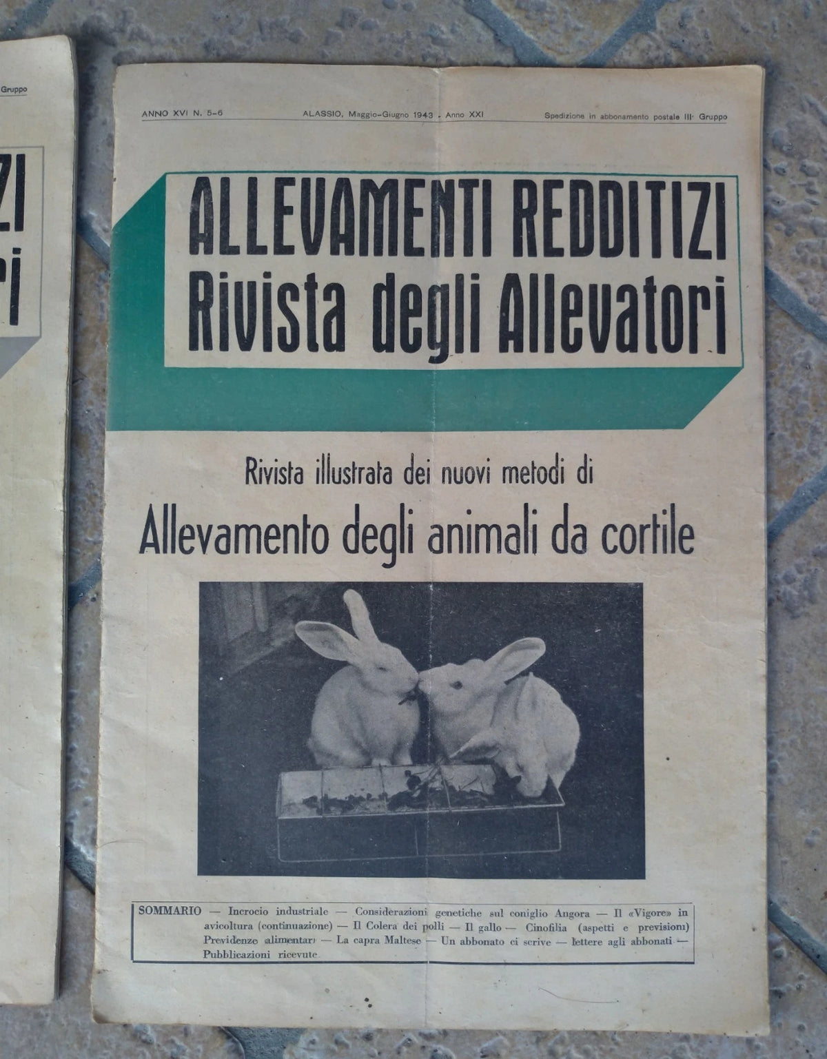 Catalogo 1941 1943 RIVISTE ALLEVAMENTI REDDITIZI ALLEVAMENTO ANIMALI DA CORTILE