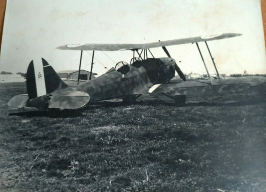 Caproni Ca 100 Caproncino Capretta Regia Aeronautica Italia WW2